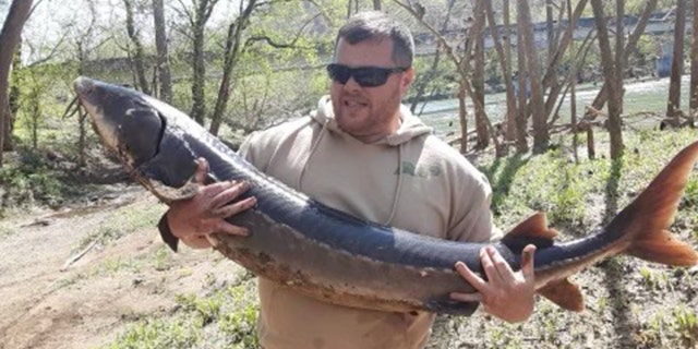 Christopher Begley, from Rogersville, Tennessee, recently caught this 61.5-inch lake sturgeon while fishing for catfish.