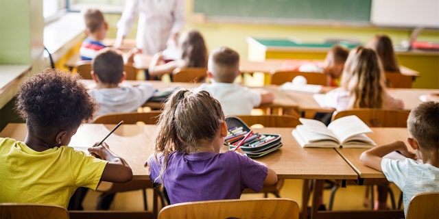 Group of children in school