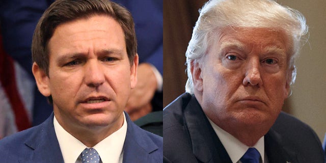 Florida Gov. Ron DeSantis could be the GOP's next standard bearer, succeeding former President Trump. (Associated Press/Getty Images)