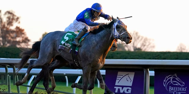 Jockey Luis Saez rides Essential Quality to win the Breeders' Cup Juvenile horse race at Keeneland Race Course in Lexington, Kentucky, on Nov. 6, 2020. Essential Quality is expected to be the first gray horse favored to win the Kentucky Derby in 25 years. (AP Photo/Michael Conroy, File)