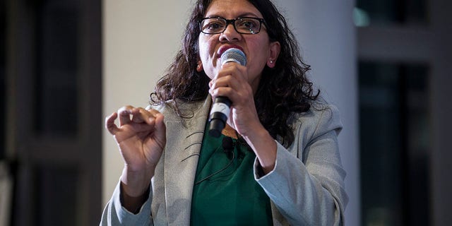 Rep. Rashida Tlaib's committees have dished out $223,000 to a consulting firm owned by an anti-Israel activist.