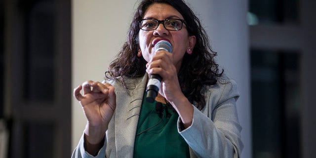 Rep. Rashida Tlaib's committees have dished out $223,000 to a consulting firm owned by an anti-Israel activist.