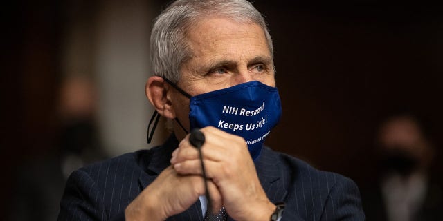 Anthony Fauci, director of National Institute of Allergy and Infectious Diseases at NIH, looks on before testifying at a Senate Health, Education, and Labor and Pensions Committee on Capitol Hill, on September 23, 2020 in Washington, DC. (Photo by Graeme Jennings- Pool/Getty Images)