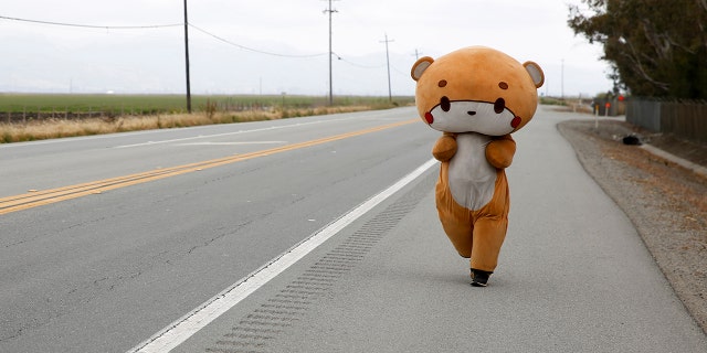 Jesse Larios, 33, from Los Angeles, wears a bear suit while walking along Hollister Road in Gilroy, Calif. on April 21.