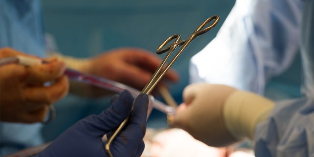 Surgical instruments are used during a kidney transplant surgery at MedStar Georgetown University Hospital in Washington D.C., Tuesday, June 28, 2016.    (AP Photo/Molly Riley)