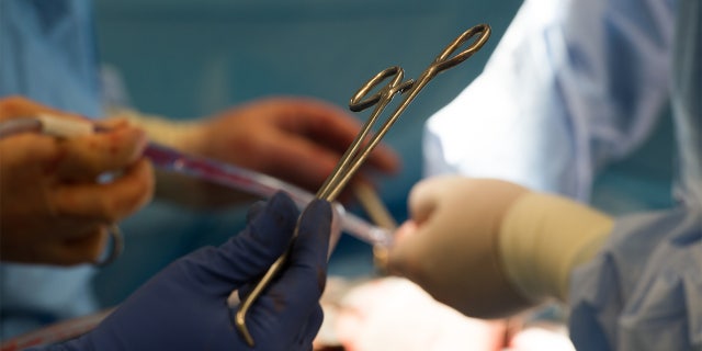 Surgical instruments are used during a kidney transplant surgery at MedStar Georgetown University Hospital in Washington D.C., Tuesday, June 28, 2016.    (AP Photo/Molly Riley)