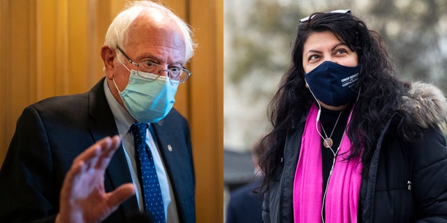 Sen. Bernie Sanders I-Vt. on Wednesday responded to comments from Rep. Rashida Tlaib D-Mich, who called for 'no more policing' in wake of the Daunte Wright police shooting
