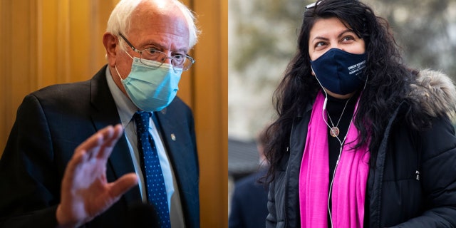 Suo. Bernie Sanders I-Vt. on Wednesday responded to comments from Rep. Rashida Tlaib D-Mich, who called for 'no more policing' in wake of the Daunte Wright police shooting