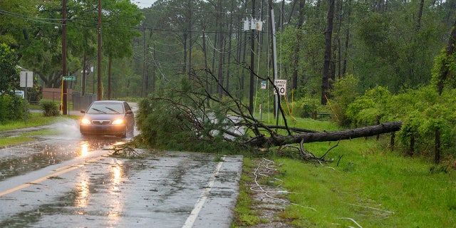 A car goes around a fallen tree on Patton Drive in Pensacola on Saturday, April 10, 2021, after a powerful storm swept through the area.Saturday Storm 6