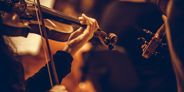 Radu allegedly played prerecorded music while pretending to play the violin when panhandling.
