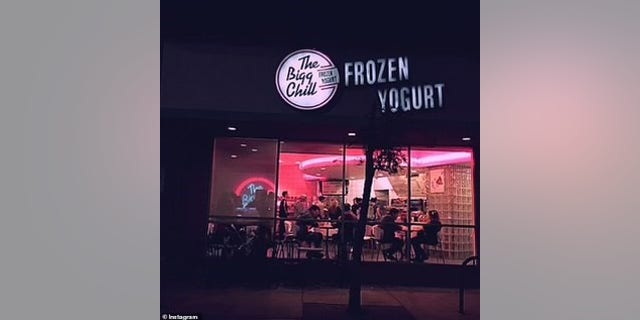 The mother-daughter owners of popular Los Angeles frozen yogurt shop, The Bigg Chill, told Fox News on Monday that they were taken aback by Demi Lovato's public social media outburst at their abundance of sugar-free offerings.