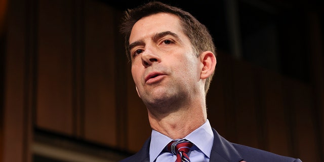 Sen. Tom Cotton, R-Ark., speaks during a Senate Judiciary Committee hearing on voting rights on Capitol Hill in Washington, Tuesday, April 20, 2021. 