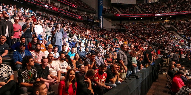 Les fans assistent à un événement d'arts martiaux mixtes de l'UFC 261 le samedi 24 avril 2021 à Jacksonville, en Floride. L'événement à guichets fermés présenté comme le premier événement sportif de pleine capacité organisé à l'intérieur depuis plus d'un an a attiré une foule de stars. (Presse associée)