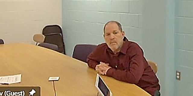 Harvey Weinstein appears from prison, during a virtual hearing regarding possible extradition to California to face further sexual assault charges, before Erie County Court Judge Kenneth Case in Buffalo, New York, U.S. April 30, 2021, in this still image taken from video.