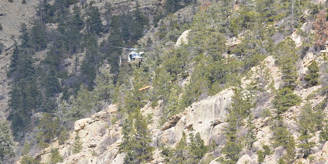 A helicopter crew spotted Schnitzer's body at the bottom of an 80-foot cliff, the sheriff's office said.