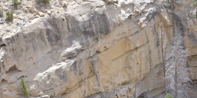 Schnitzer appeared to have lost his footing and "slid off the edge" of an 80-foot cliff.