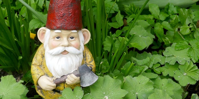 The U.K. has seen an increase in the demand for garden gnomes, but the recent Suez Canal blockage and other factors have made shipments of the accessories difficult to come by, SWNS reports.