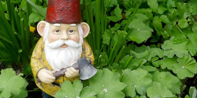 The U.K. has seen an increase in the demand for garden gnomes, but the recent Suez Canal blockage and other factors have made shipments of the accessories difficult to come by, SWNS reports.