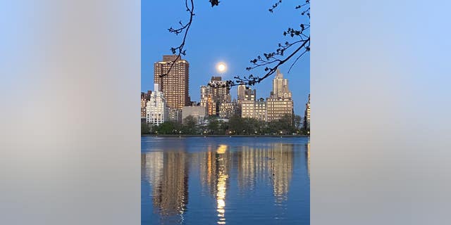 Pink supermoon taken in New York City on April 26, 2021