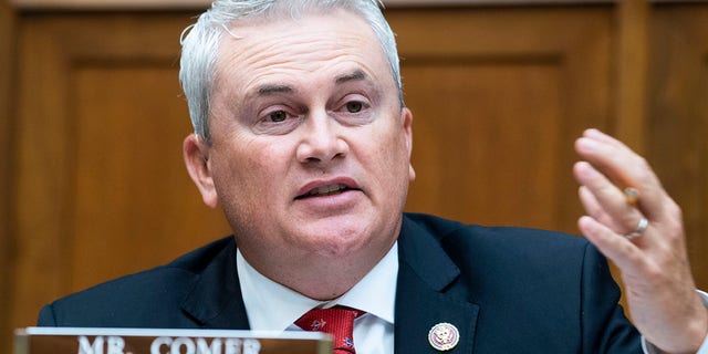 Rep. James Comer questions Postmaster General Louis DeJoy during a House Oversight and Reform Committee hearing on Capitol Hill, Aug. 24, 2020.