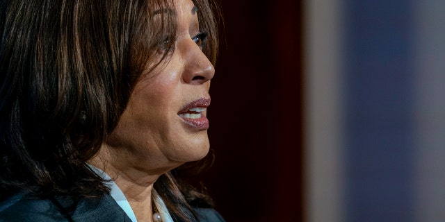 Vice President Kamala Harris speaks to the virtual Leaders Summit on Climate, from the East Room of the White House, Thursday, April 22, 2021, in Washington.