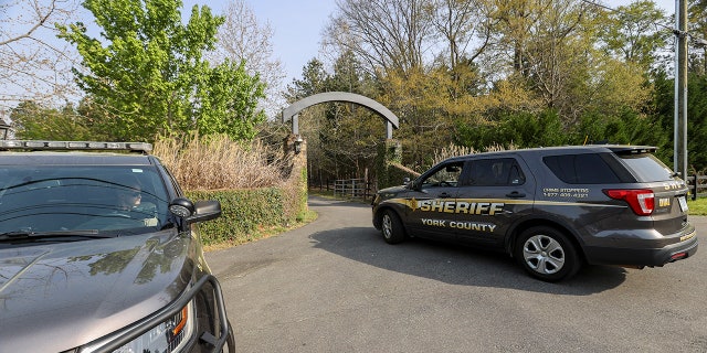 A York County sheriff vehicle drives onto the property where multiple people, including a prominent doctor, were fatally shot a day earlier, Thursday, 4月 8, 2021, in Rock Hill, S.C. A source briefed on the mass killing said the gunman was former NFL player Phillip Adams, who shot himself to death early Thursday. (AP Photo/Nell Redmond)
