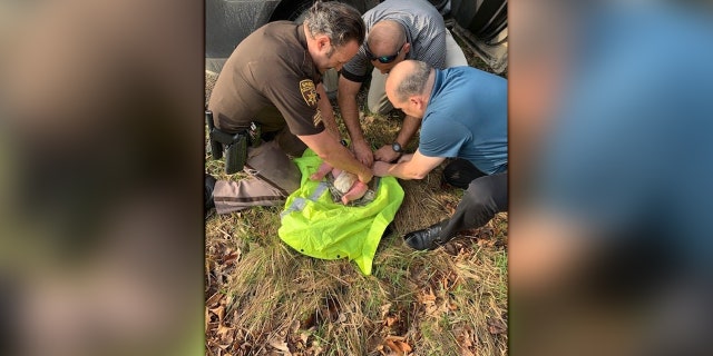 Michigan deputies found an abandoned 4-month-old baby in the woods Wednesday morning after responding to reports of a distraught, erratic woman banging on doors in the area.