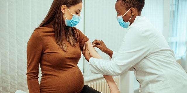 Doctor preparing a pregnant woman for vaccination. Pregnant woman getting a covid-19 vaccine.