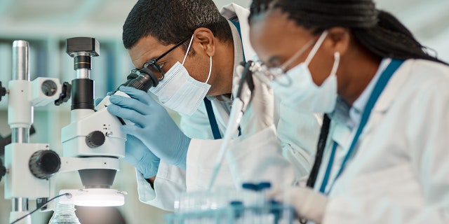 The authors noted the study’s limitations because they only analyzed the sperm count and concentration of participants — but not how the sperm moved or their shape.