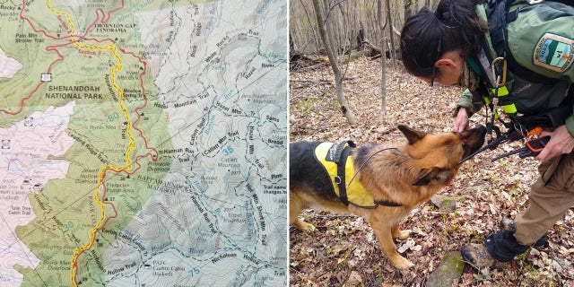 Multiple agencies, dozens of volunteers and several dog teams searched for Sauer after he went missing in the park on April 22.