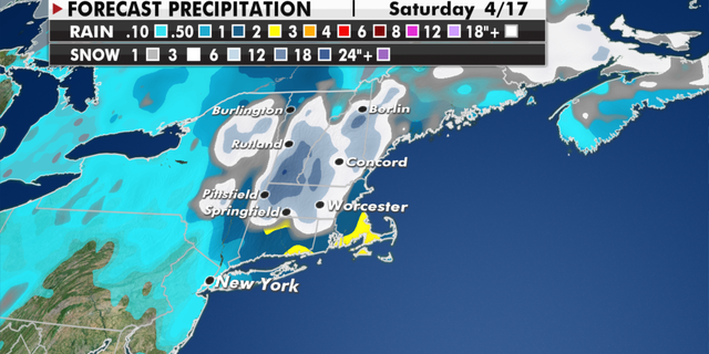 Expected snowfall totals in the Northeast through Saturday. (Fox News)