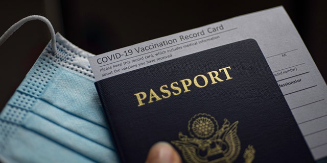 In the U.S., the issue of vaccine passports has largely become partisan, with Republican lawmakers mostly against the concept.