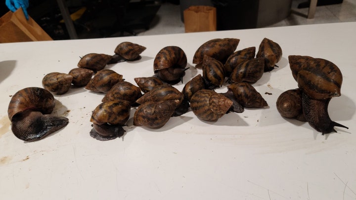 Fox News Flash top headlines for April 7