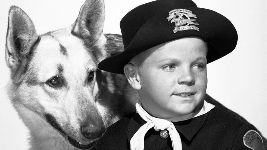 Lee Aaker, ‘Adventures of Rin Tin Tin’ child star, dead at 77