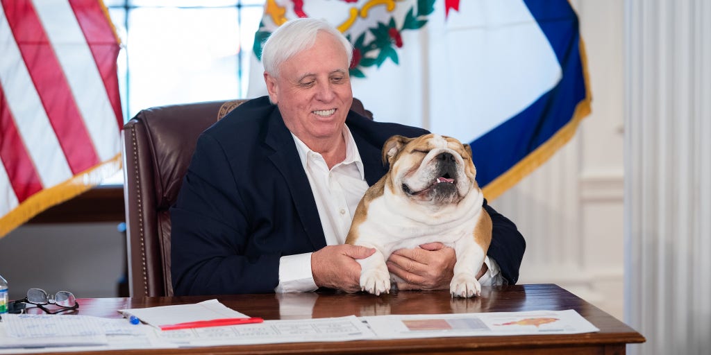 Governor makes bulldog the face of West Virginia's COVID-19 vaccine lottery - Vimarsana News