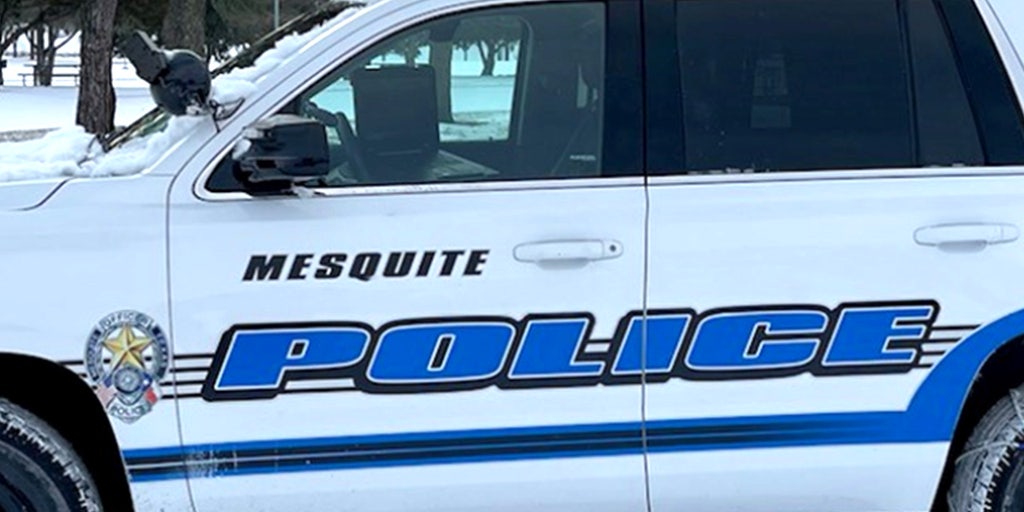 Handgun-wielding Texas student shot by police intended to harm people - Vimarsana News