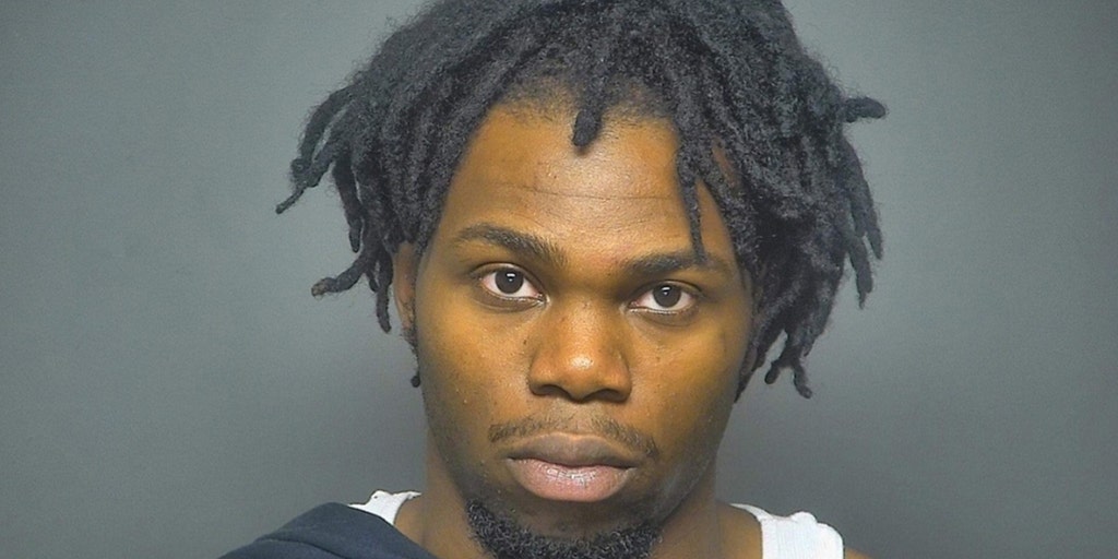 South Carolina police ask for residents' deer cameras in nearly week-long manhunt for murder suspect - Vimarsana News