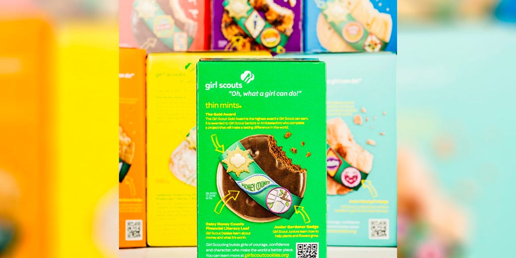 Virginia Girl Scouts use drones to deliver cookies and it pays off - Vimarsana News