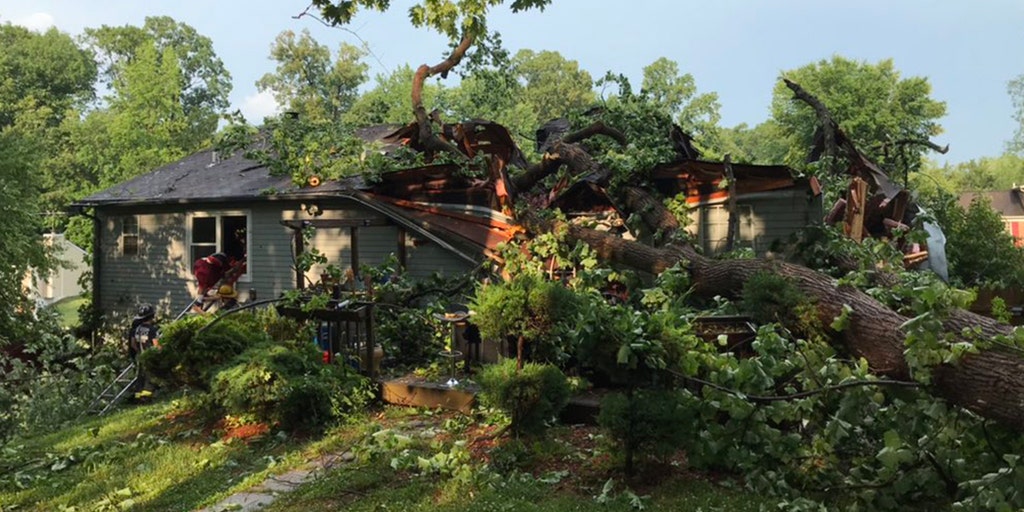 Severe storms across mid-Atlantic, Northeast knock out power, injure 5: reports - Vimarsana News