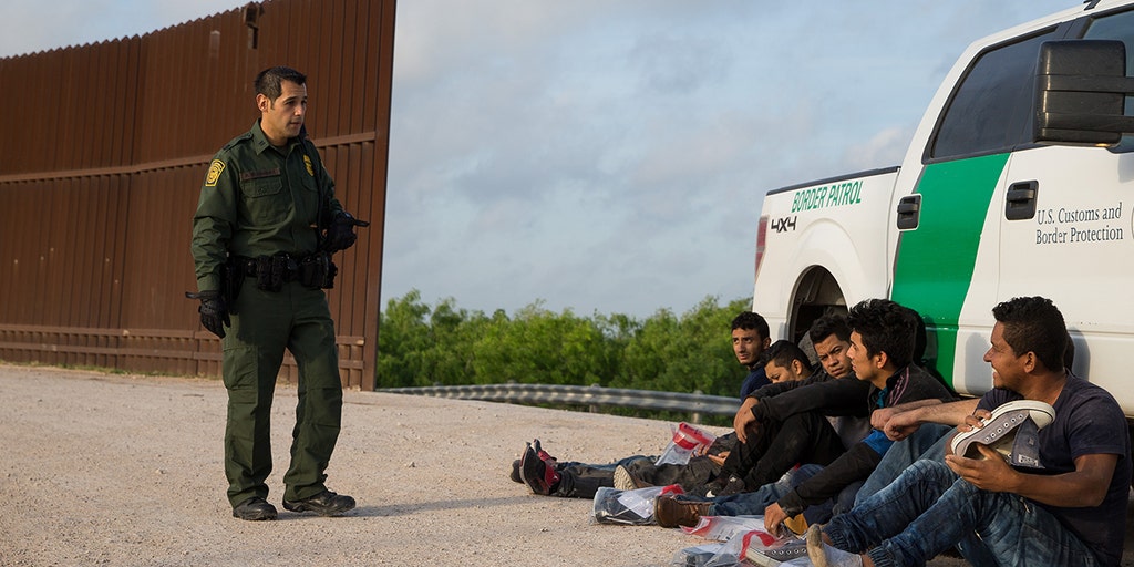 Watchdogs demand info from DHS, HHS on NGOs working along Texas border to aid illegal immigrants - Vimarsana News