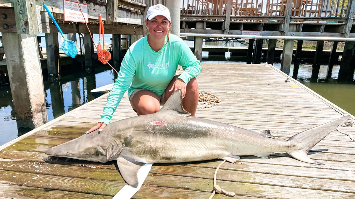 Nikki Colwell shark 2