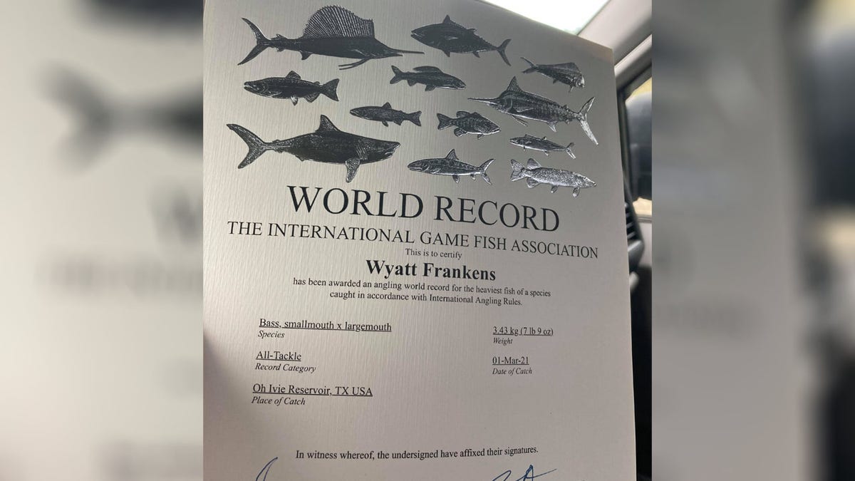 Wyatt Frankens world record