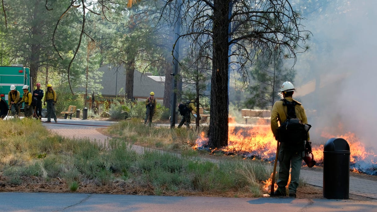 In this May 14, 2021, photo provided by the High Desert Museum, U.S. Forest Service firefighters carry out a prescribed burn on the grounds of the High Desert Museum, near Bend, Oregon. (Kyle Kosma/High Desert Museum via AP)