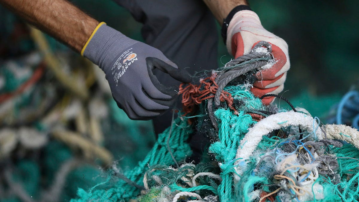 Drew McWhirter, a graduate student at Hawaii Pacific University's Center for Marine Debris Research, pulls apart a massive entanglement of ghost nets on Wednesday, May 12, 2021, in Kaneohe, Hawaii. Researchers are conducting a study that is attempting to trace derelict fishing gear that washes ashore in Hawaii back to the manufacturers and fisheries that it came from. (AP Photo/Caleb Jones)