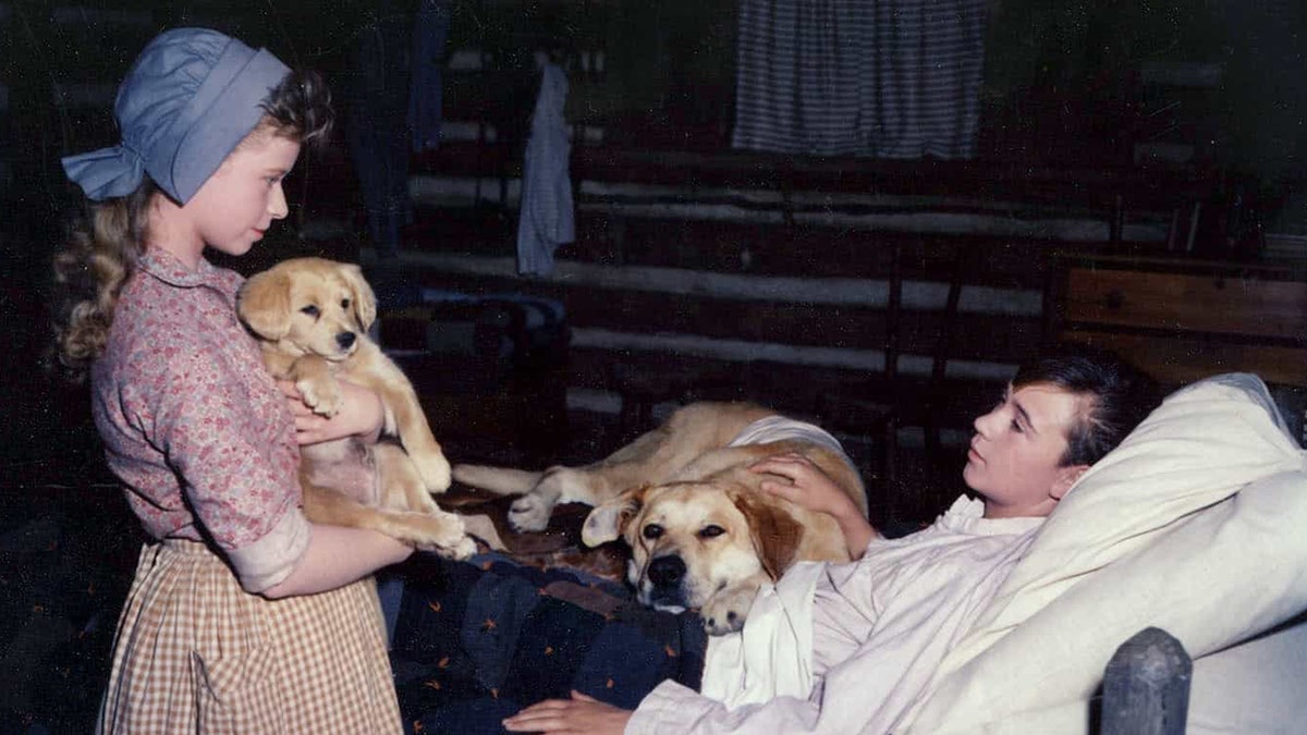 Beverly Washburn said she was eager to work with animals before taking on 'Old Yeller.'