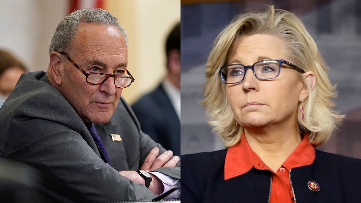 Senate Majority Leader Chuck Schumer, D-N.Y., named Rep. Liz Cheney, R-Wyo., during debate on Democrats' sweeping election bill in the Senate Rules Committee Tuesday.