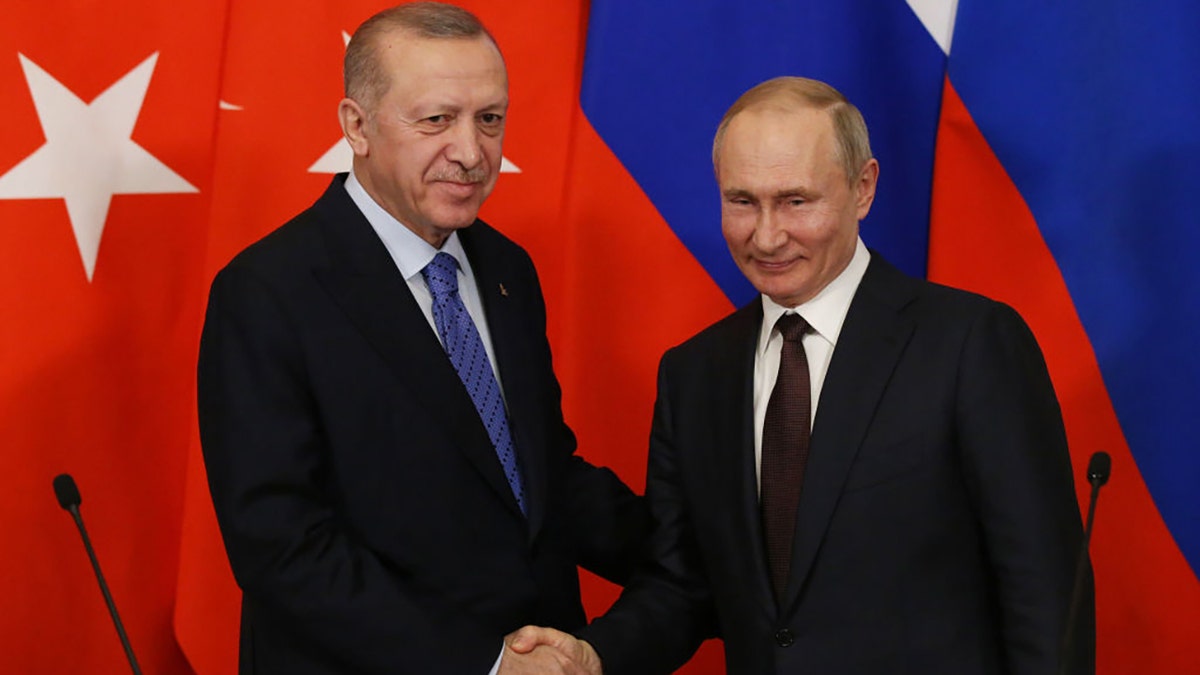 Vladimir Putin and his Turkish counterpart, Recip Tayyip Erdogan meet at the Kremlin in 2020in Moscow