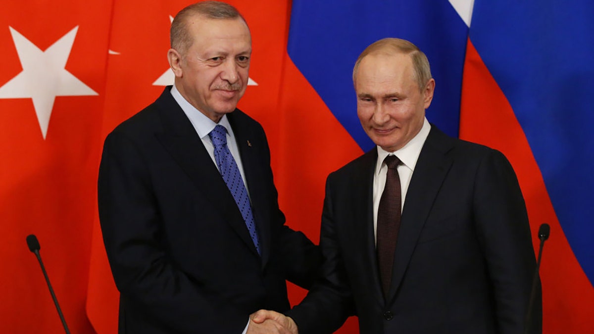 Vladimir Putin and his Turkish counterpart, Recip Tayyip Erdogan meet at the Kremlin in 2020in Moscow 