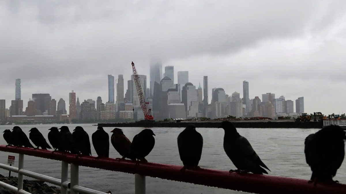 Fog shrouds lower Manhattan and One World Trade Center in New York City as pigeons stand on a railing in the rain on May 30, 2021 in Jersey City, New Jersey. (Photo by Gary Hershorn/Getty Images)