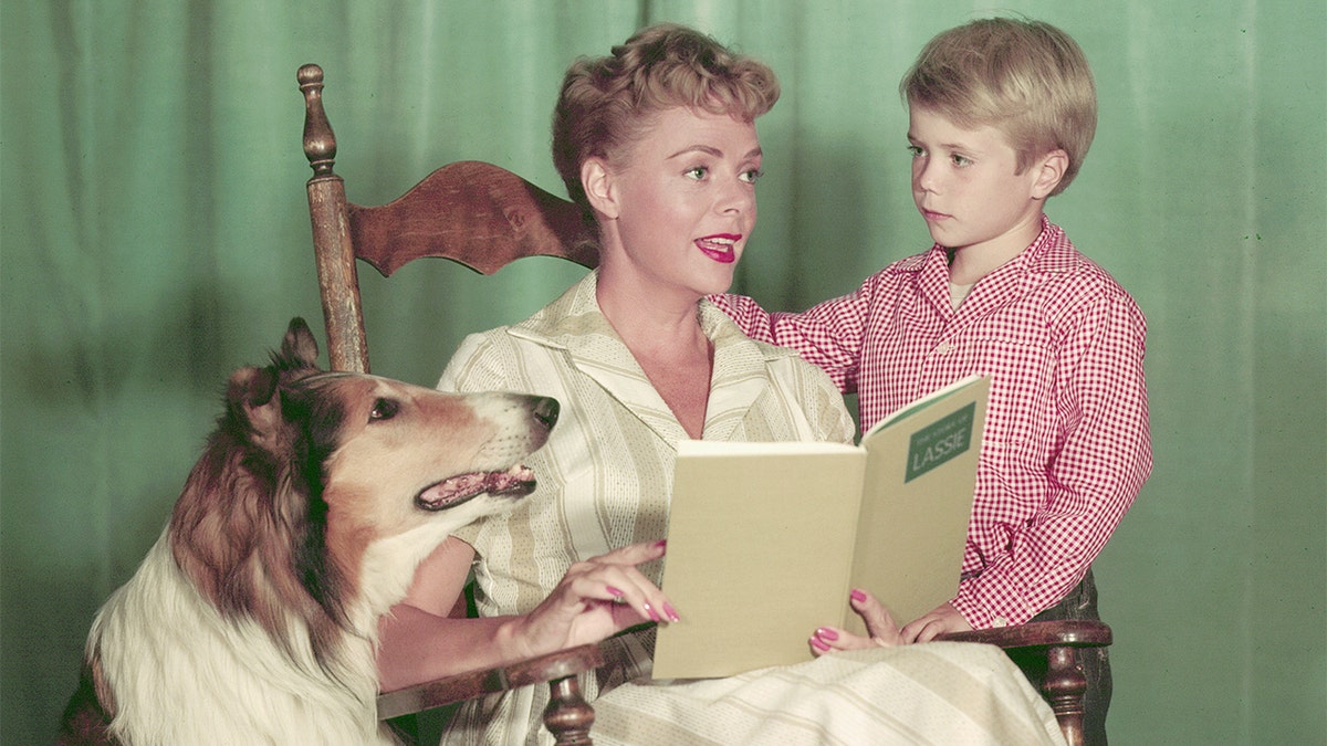 June Lockhart en una silla leyendo a Timmy y Lassie